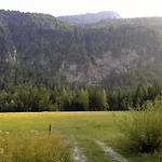 Brina Kranjska Gora