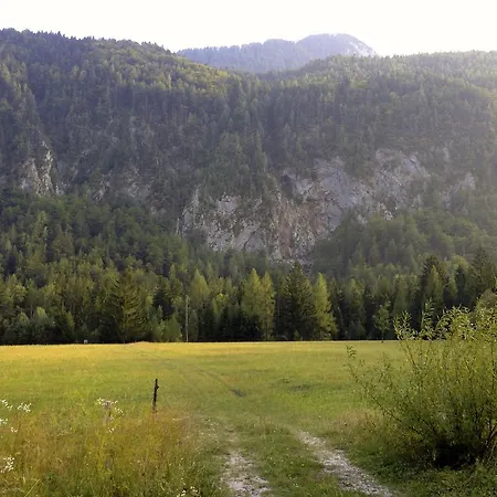 Brina Kranjska Gora