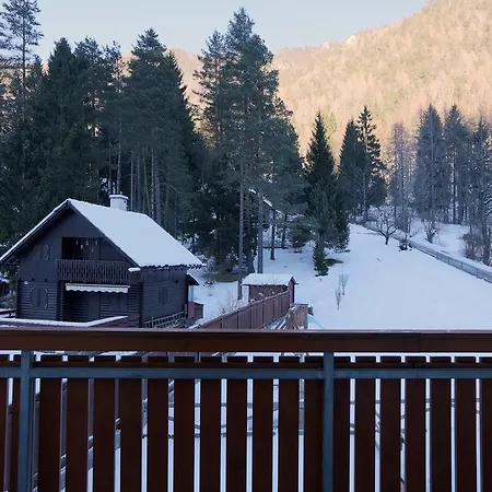 Brina Kranjska Gora
