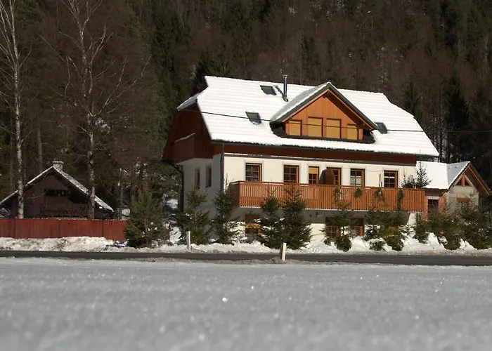 Διαμέρισμα Brina Kranjska Gora